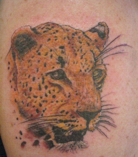 tattoo and Piercing Cambridge New Zealand